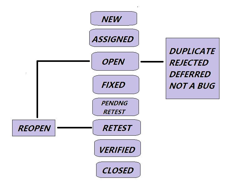 software testing bug life cycle