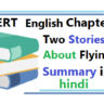 Two Stories About Flying summary in hindi