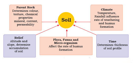 Land, Soil, Water, Natural Vegetation and Wildlife Resources Summary in hindi